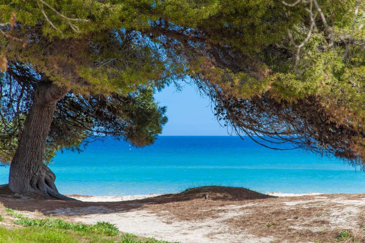 Violeta De Mar Villa Плая де Муро Екстериор снимка
